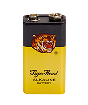 9V ALKALINE BATTERIES